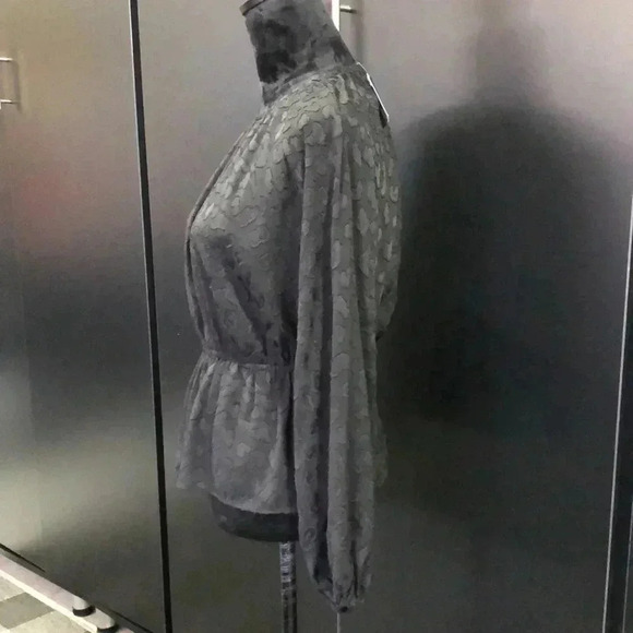 Ann Taylor Peplum Waist,lace like overlay,lined, round neck,long sleeve top - Picture 2 of 10